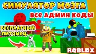 НОВЫЙ СИМУЛЯТОР МОЗГА! ВСЕ СЕКРЕТНЫЕ АДМИН КОДЫ ROBLOX Thinking Simulator