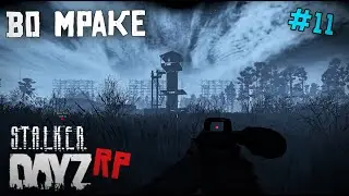 МРАЧНОЕ МЕСТО. DAYZ STALKER RP 11 серия