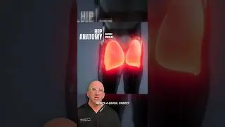 Gluteus 🍑 Hip Muscle Anatomy #shorts