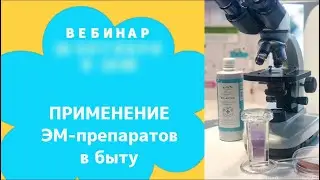 Эм-препараты. Экологичная уборка без химии. Екатерина Евсеева
