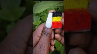 Perfekte Deutschland-Flaggen-Nagelkunst: Entdecken Sie die Doppelte Stempeltechnik!" #youtubechamps