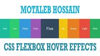 Css Flexbox hover effects - css3 hover effects