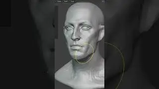 Sculpting a 3D head from scratch in Blender 