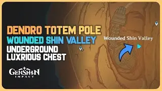 Dendro Totem Pole - Luxurious Chest - Underground Wounded Shin Valley | Genshin Impact 3.4