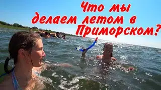 Жизнь в Краснодарском крае / поселок Приморский, Таманский залив