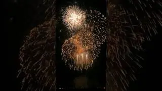 FIREWORKS 2 #shorts #shortfeed #fireworks #happynewyear