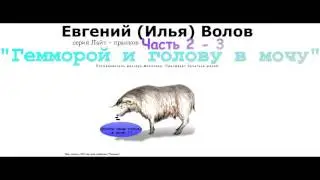 Пранк с Воловым! Часть 2-3.. Геморрой и голова в моче