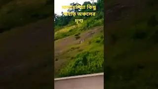 মালয়েশিয়া অপরূপ পাহাড় অঞ্চল গুলো