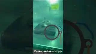 Станок по утилизации кинескопов