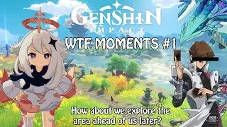 Genshin Impact - WTF Moments #1