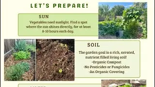 Beginner Gardening in Texas Advice !
