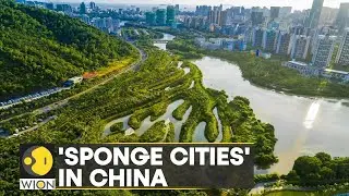 WION Climate Tracker: Chinas water absorbing sponge city | Latest English News | World News