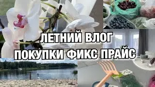 ЛЕТНИЙ ВЛОГ! ПОКУПКИ ФИКС ПРАЙС! ОПЯТЬ НОВЫЕ ШТОРЫ! Будни Мамы Влог