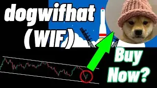 dogwifhat (WIF) Crypto Coin Price Prediction And Analysis | Buy Now?