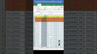 AutoFit Column width in Excel 