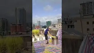 Creative Way Of Planting Rice In The Plastic Buckets On The Rooftops Of Urban Buildings !