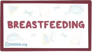 Breastfeeding