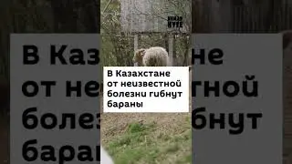 скин таму самаму🥵 хахахаххахах жесть чо я написал? 
