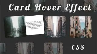 Card Hover Effect | Cool Hovering Effect | Pure CSS | HTML | Techy Programmers