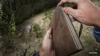 You Have Passed Here 100+ Times But Never Noticed This in RDR2 | PART 1