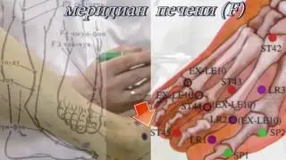 Секреты китайской медицины (46). Точка Да дунь. Меридиан печени F1.