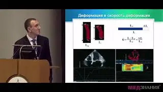 9.Кардиоонкология – новый вызов нашего времени. В.В.  Несветов