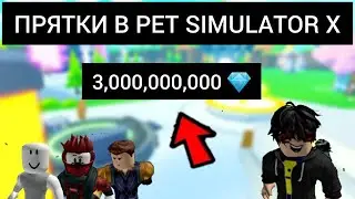 ПРЯТКИ С ПОДПИСЧИКАМИ НА 3 МИЛЛИАРДА ГЕМОВ!!!/Pet Simulator X/Montage