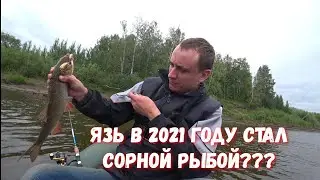 Отличный клёв. р. Сосьва. Язь на джиг.