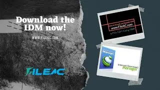 How to update and install Internet Download Manager (IDM)