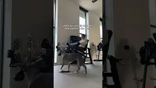 we truly don’t deserve dogs 🥹🥹 