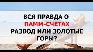 Вся Правда о Памм Счетах на Форекс.Форекс. Памм Счета Развод или нет.