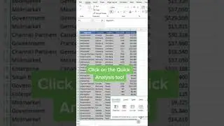 Excel pivot tables 