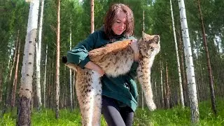 LYNX MARTIN MEETS HANNAH / Singapura cat makes friends with dog / My brother is visiting me