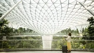 Video offers glimpse inside Safdie Architects Jewel Changi Airport