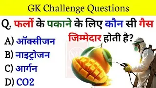 Gk Questions And Answers || Gk Quiz || General Knowledge || Gk Questions In Hindi || Gk Ke Sawal