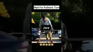 Wait for Python's Turn 😂, Coding Meme, Programming Meme, Python Memes 