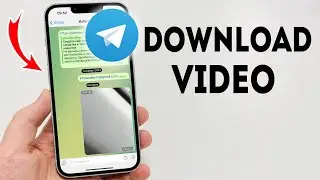 How To Download Video From Telegram on iPhone - Full Guide