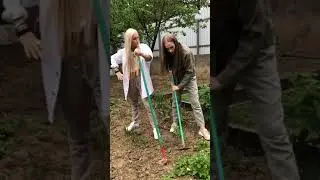Хищные оскалы судьбы 