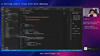 Serving static files with Echo #golang
