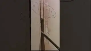 Когда лучше делать электрику в квартире до штукатурки или после