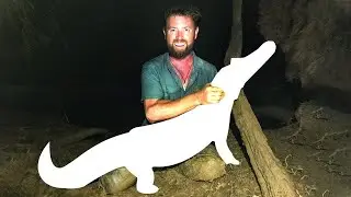 Animais Supostamente Extintos Capturados Por Câmeras - Parte 2