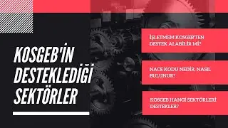 Kosgeb'in Desteklediği Sektörler - Nace Kodu Nasıl Bulunur? Ekosistem - Oğuz Aslan