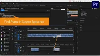 Find Frame in Source Sequence in Premiere Pro