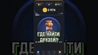 Где найти друзей для Hamster Kombat? Рефералы в Хамстер Комбат. 