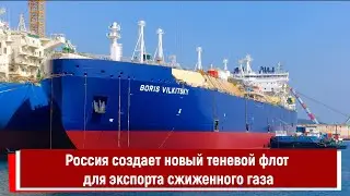 Россия создает новый теневой флот для экспорта сжиженного газа