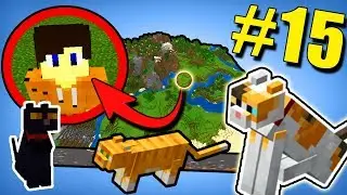 ВЫЖИВАНИЕ В ОГРАНИЧЕННОМ МИРЕ! LetsPlay Minecraft PE #15 КОШКИ! ЭТО БЕЗУМИЕ!!!