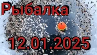 Рыбалка на поплавок 12 января 2025 г.на диком озере!Эти рыбы уносят поплавок под лёд!Зимняя рыбалка!