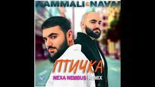 HammAli & Navai Птичка AI cover