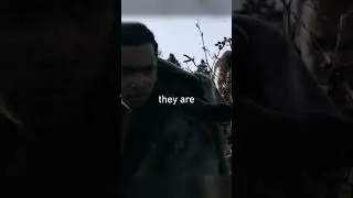 Neanderthals VS Modern Humans 