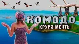 Бали - комодо | Райские острова, лучший снорклинг и гигантские летучие лисицы